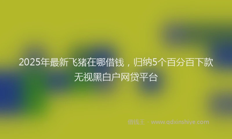 2025年最新飞猪在哪借钱，归纳5个百分百下款无视黑白户网贷平台