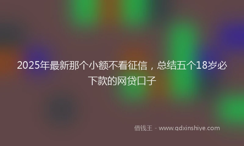 2025年最新那个小额不看征信，总结五个18岁必下款的网贷口子