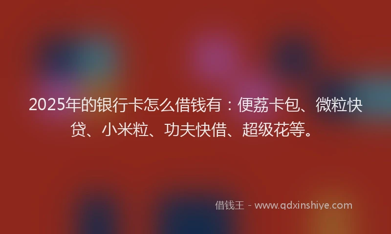 2025年的银行卡怎么借钱有：便荔卡包、微粒快贷、小米粒、功夫快借、超级花等。