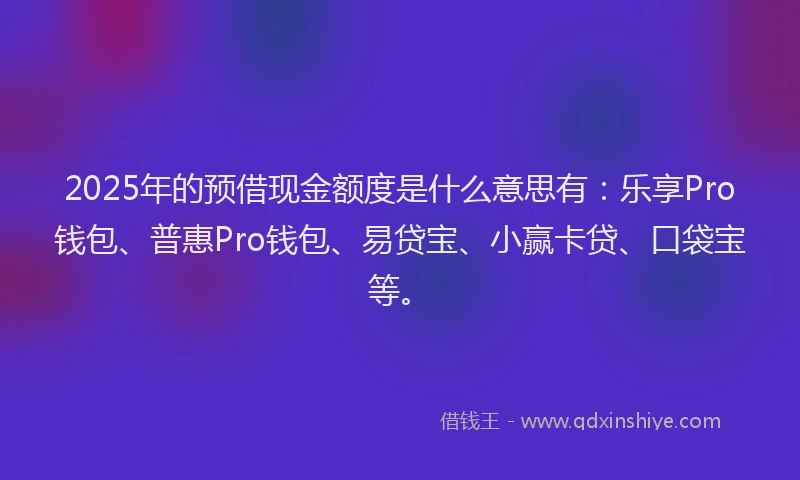 2025年的预借现金额度是什么意思有：乐享Pro钱包、普惠Pro钱包、易贷宝、小赢卡贷、口袋宝等。