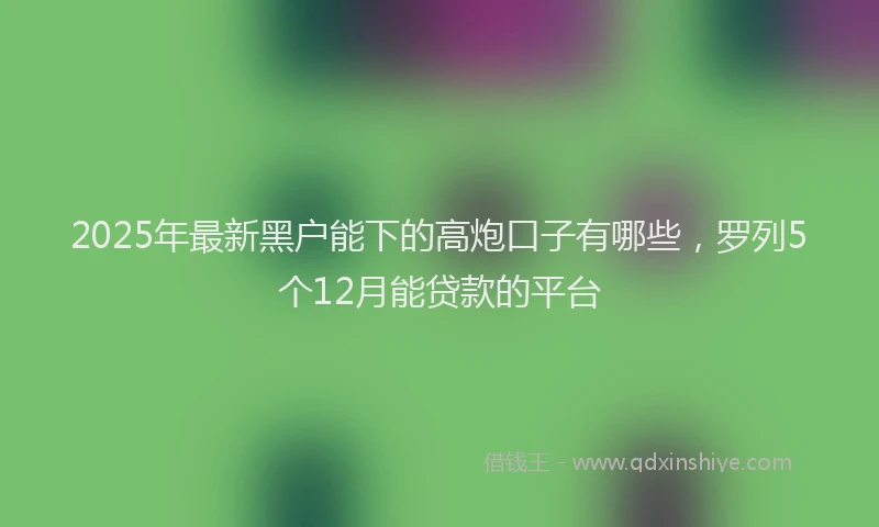 2025年最新黑户能下的高炮口子有哪些，罗列5个12月能贷款的平台