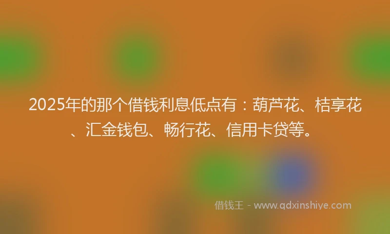 2025年的那个借钱利息低点有：葫芦花、桔享花、汇金钱包、畅行花、信用卡贷等。