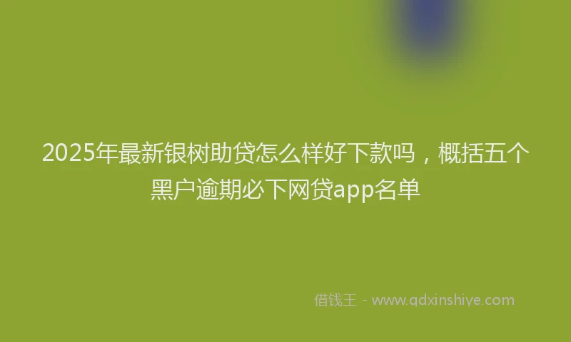 2025年最新银树助贷怎么样好下款吗，概括五个黑户逾期必下网贷app名单