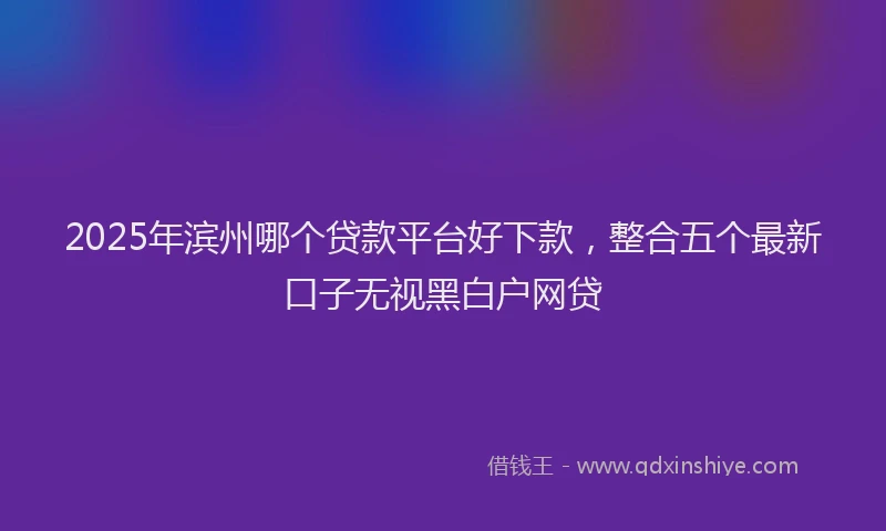 2025年滨州哪个贷款平台好下款，整合五个最新口子无视黑白户网贷