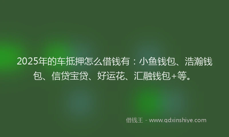 2025年的车抵押怎么借钱有：小鱼钱包、浩瀚钱包、信贷宝贷、好运花、汇融钱包+等。