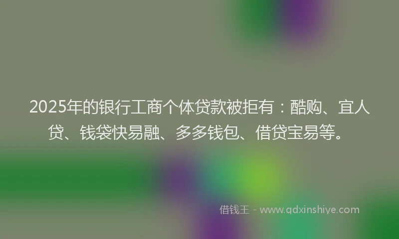 2025年的银行工商个体贷款被拒有：酷购、宜人贷、钱袋快易融、多多钱包、借贷宝易等。
