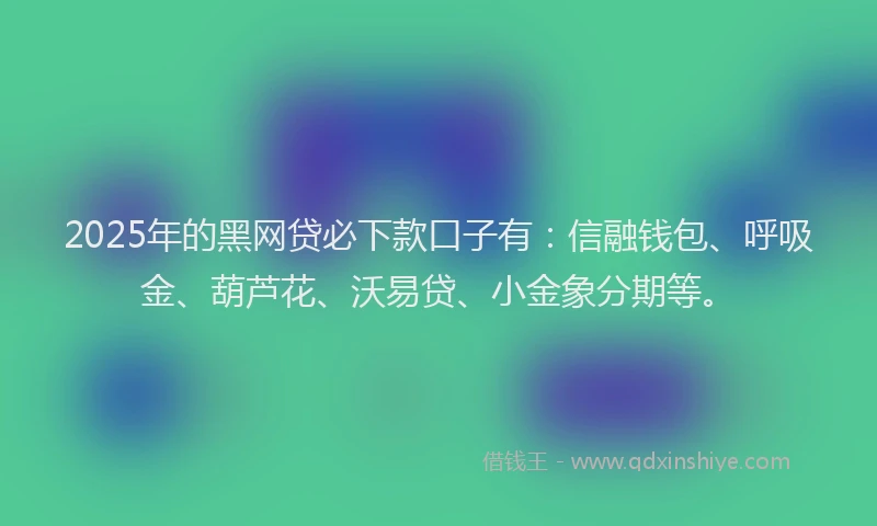 2025年的黑网贷必下款口子有：信融钱包、呼吸金、葫芦花、沃易贷、小金象分期等。