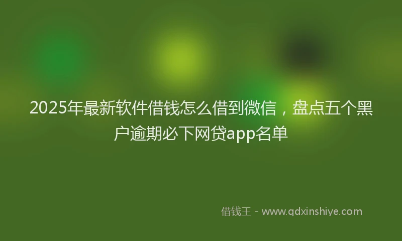 2025年最新软件借钱怎么借到微信，盘点五个黑户逾期必下网贷app名单