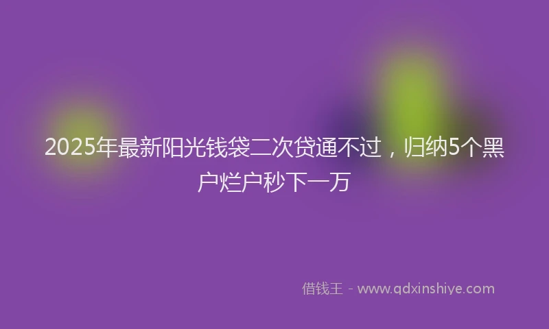 2025年最新阳光钱袋二次贷通不过，归纳5个黑户烂户秒下一万