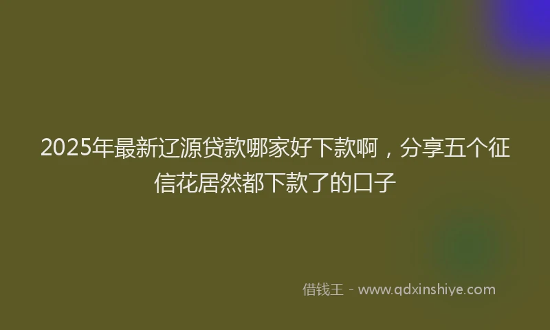 2025年最新辽源贷款哪家好下款啊，分享五个征信花居然都下款了的口子