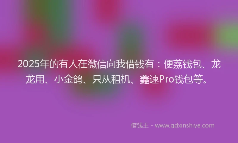 2025年的有人在微信向我借钱有：便荔钱包、龙龙用、小金鸽、只从租机、鑫速Pro钱包等。