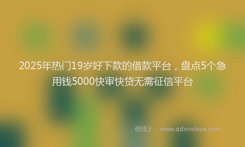 2025年热门19岁好下款的借款平台，盘点5个急用钱5000快审快贷无需征信平台