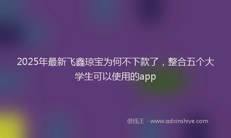 2025年最新飞鑫琼宝为何不下款了，整合五个大学生可以使用的app