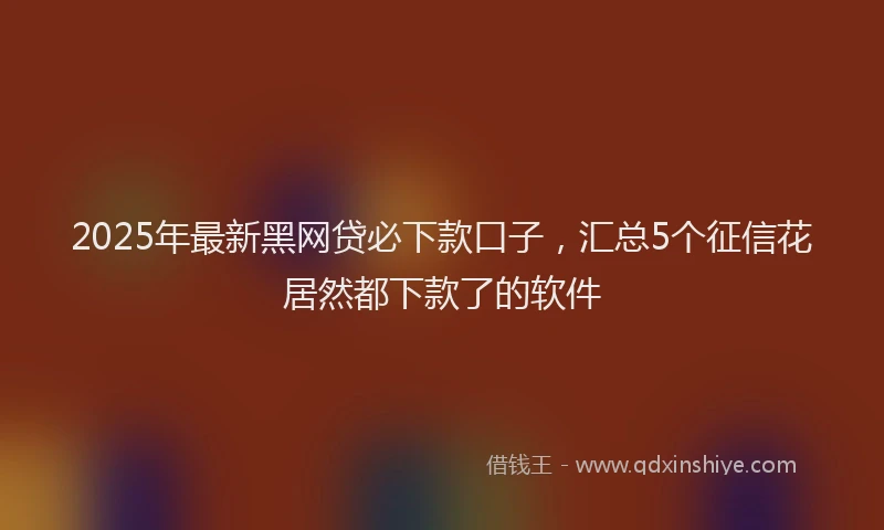 2025年最新黑网贷必下款口子，汇总5个征信花居然都下款了的软件