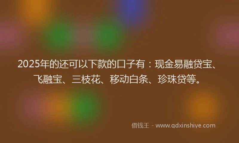 2025年的还可以下款的口子有：现金易融贷宝、飞融宝、三枝花、移动白条、珍珠贷等。