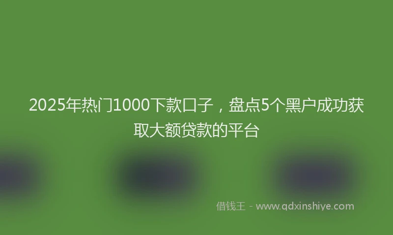 2025年热门1000下款口子，盘点5个黑户成功获取大额贷款的平台