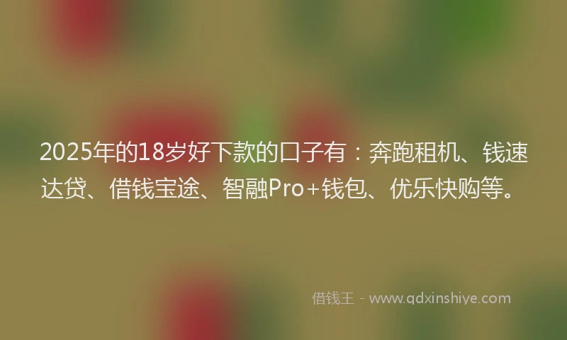 2025年的18岁好下款的口子有：奔跑租机、钱速达贷、借钱宝途、智融Pro+钱包、优乐快购等。