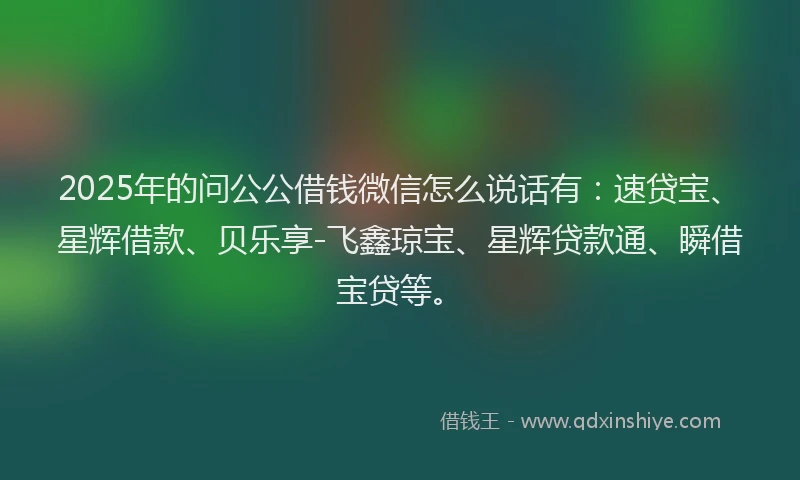 2025年的问公公借钱微信怎么说话有：速贷宝、星辉借款、贝乐享-飞鑫琼宝、星辉贷款通、瞬借宝贷等。