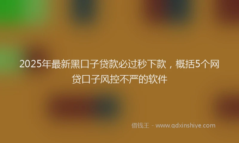 2025年最新黑口子贷款必过秒下款，概括5个网贷口子风控不严的软件