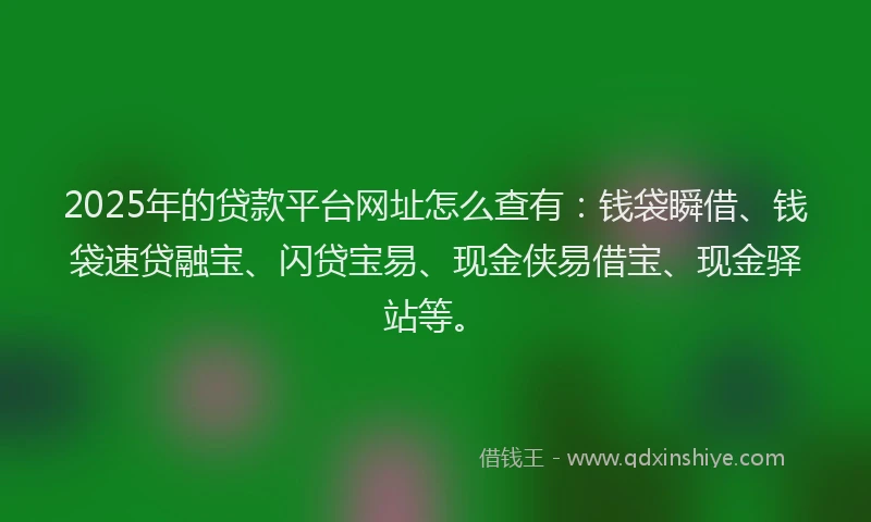 2025年的贷款平台网址怎么查有：钱袋瞬借、钱袋速贷融宝、闪贷宝易、现金侠易借宝、现金驿站等。