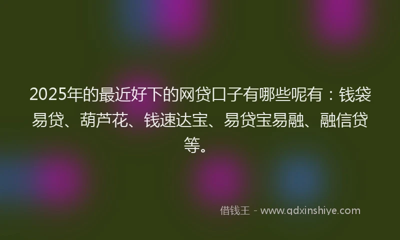 2025年的最近好下的网贷口子有哪些呢有：钱袋易贷、葫芦花、钱速达宝、易贷宝易融、融信贷等。