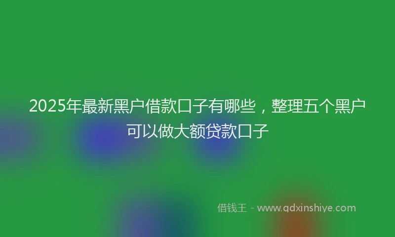 2025年最新黑户借款口子有哪些，整理五个黑户可以做大额贷款口子