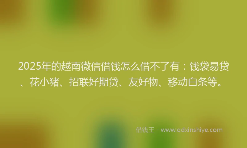 2025年的越南微信借钱怎么借不了有：钱袋易贷、花小猪、招联好期贷、友好物、移动白条等。