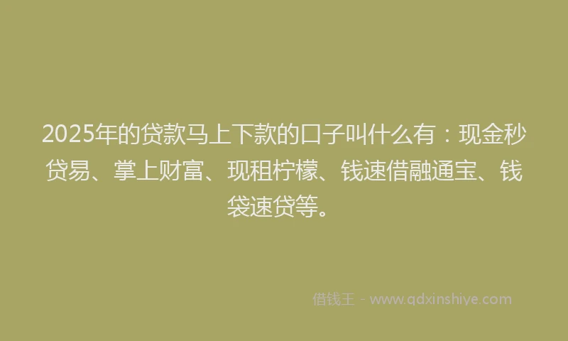 2025年的贷款马上下款的口子叫什么有：现金秒贷易、掌上财富、现租柠檬、钱速借融通宝、钱袋速贷等。