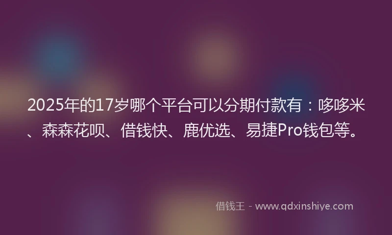 2025年的17岁哪个平台可以分期付款有：哆哆米、森森花呗、借钱快、鹿优选、易捷Pro钱包等。