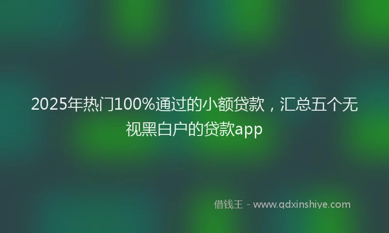 2025年热门100%通过的小额贷款，汇总五个无视黑白户的贷款app
