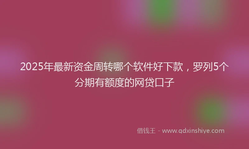 2025年最新资金周转哪个软件好下款，罗列5个分期有额度的网贷口子