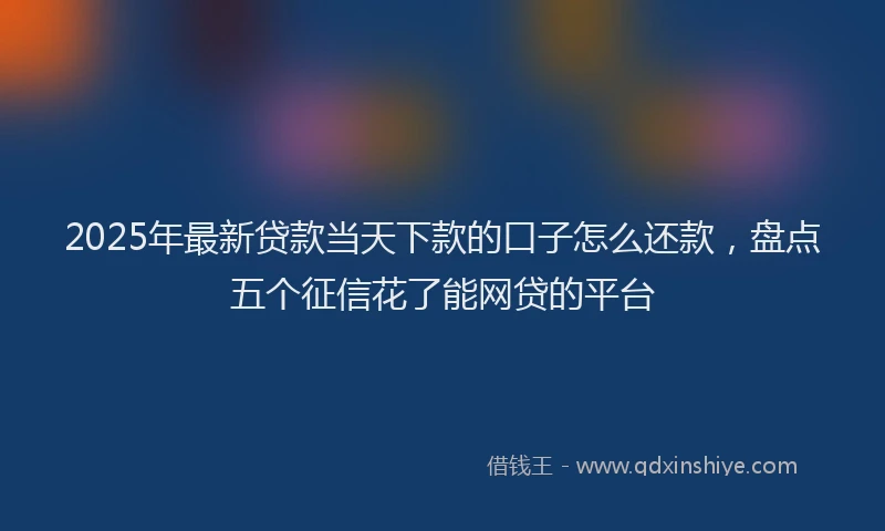 2025年最新贷款当天下款的口子怎么还款，盘点五个征信花了能网贷的平台