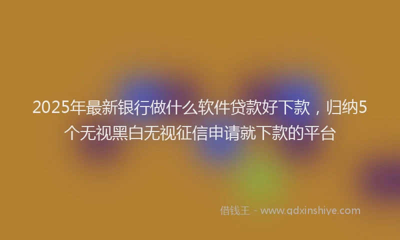 2025年最新银行做什么软件贷款好下款，归纳5个无视黑白无视征信申请就下款的平台