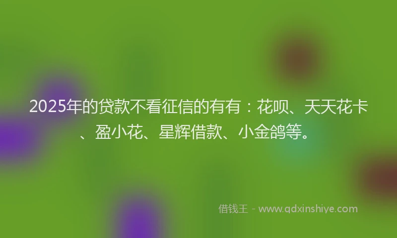 2025年的贷款不看征信的有有：花呗、天天花卡、盈小花、星辉借款、小金鸽等。