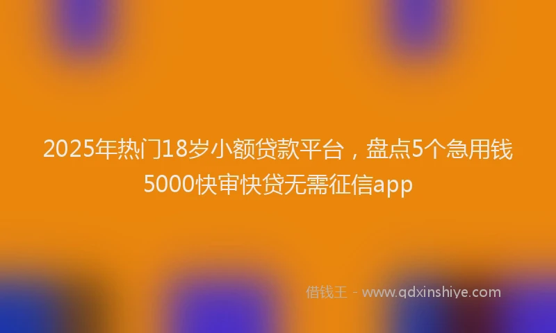 2025年热门18岁小额贷款平台，盘点5个急用钱5000快审快贷无需征信app
