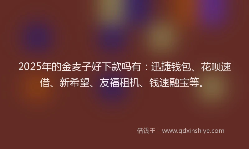 2025年的金麦子好下款吗有：迅捷钱包、花呗速借、新希望、友福租机、钱速融宝等。