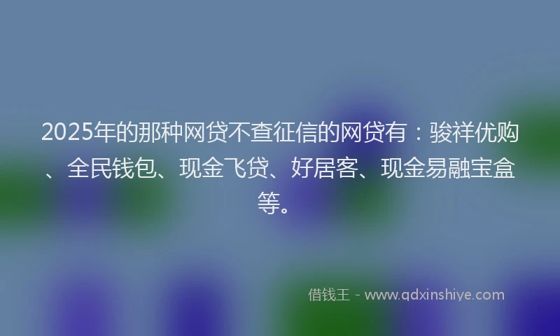 2025年的那种网贷不查征信的网贷有：骏祥优购、全民钱包、现金飞贷、好居客、现金易融宝盒等。