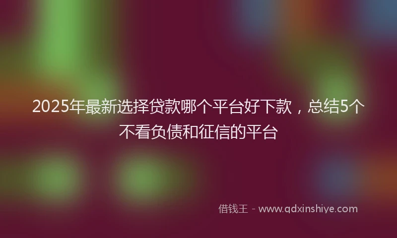 2025年最新选择贷款哪个平台好下款，总结5个不看负债和征信的平台