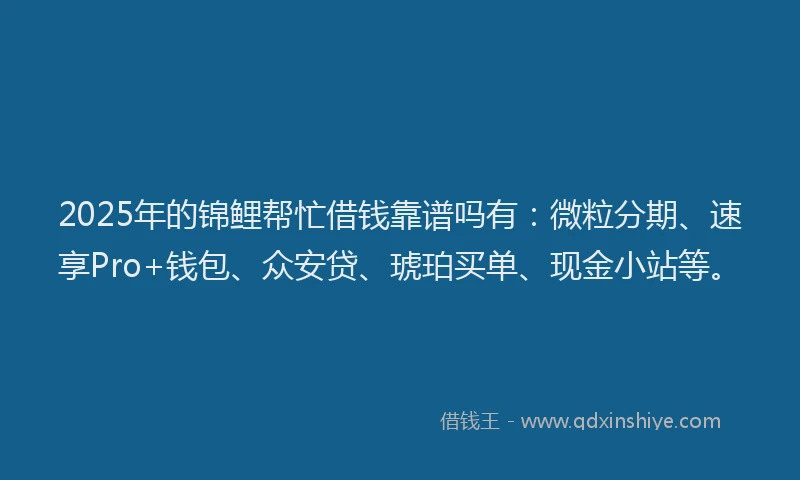 2025年的锦鲤帮忙借钱靠谱吗有：微粒分期、速享Pro+钱包、众安贷、琥珀买单、现金小站等。