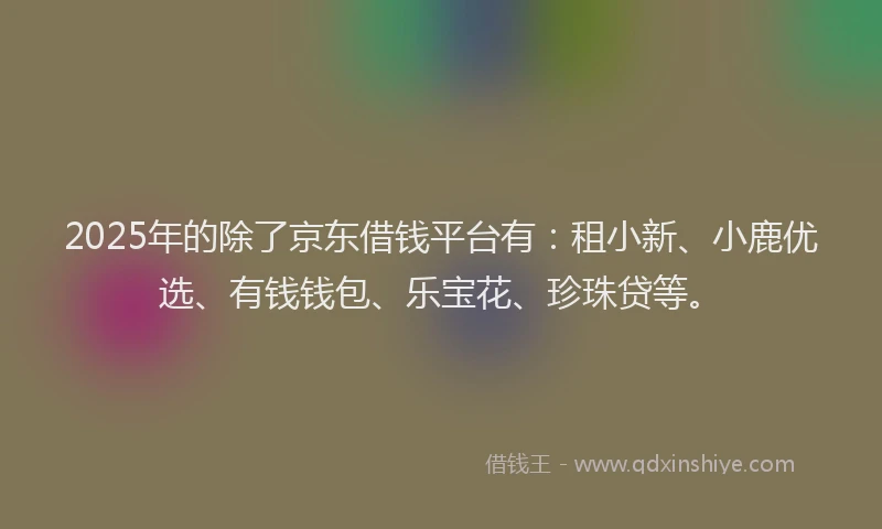 2025年的除了京东借钱平台有：租小新、小鹿优选、有钱钱包、乐宝花、珍珠贷等。