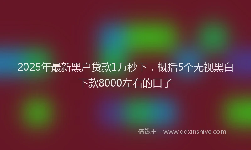 2025年最新黑户贷款1万秒下，概括5个无视黑白下款8000左右的口子