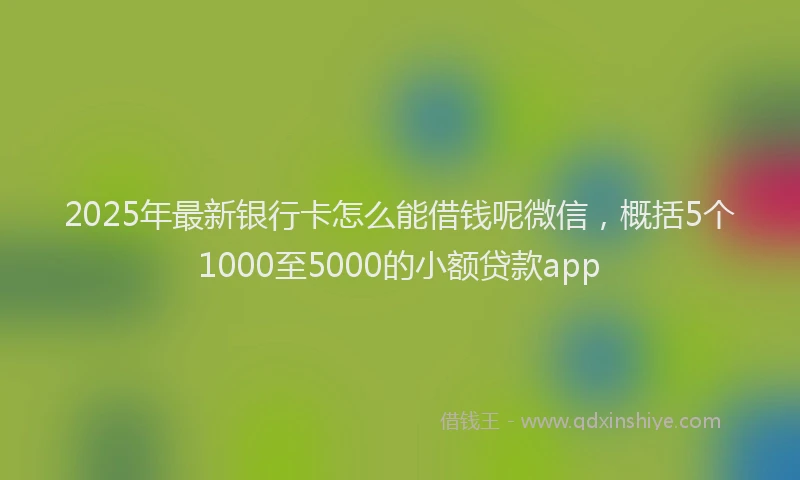 2025年最新银行卡怎么能借钱呢微信，概括5个1000至5000的小额贷款app