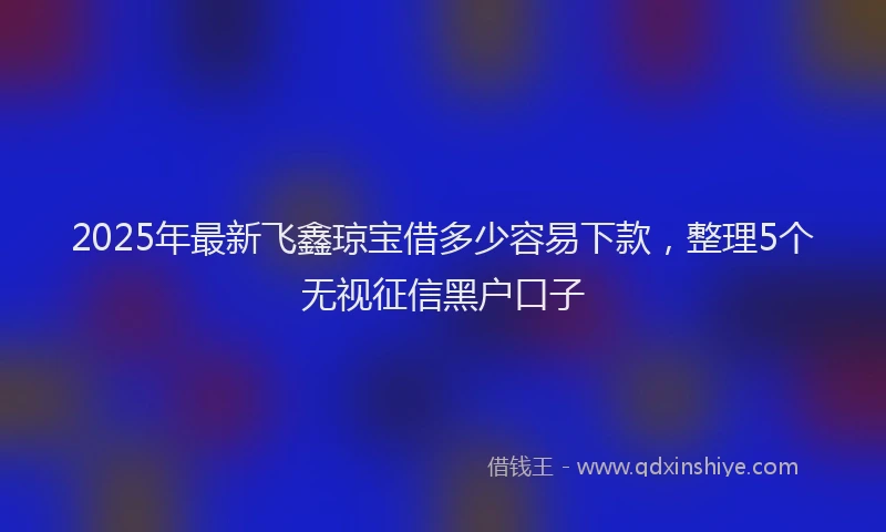 2025年最新飞鑫琼宝借多少容易下款，整理5个无视征信黑户口子