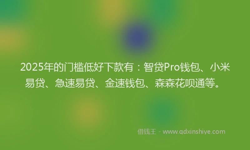 2025年的门槛低好下款有：智贷Pro钱包、小米易贷、急速易贷、金速钱包、森森花呗通等。