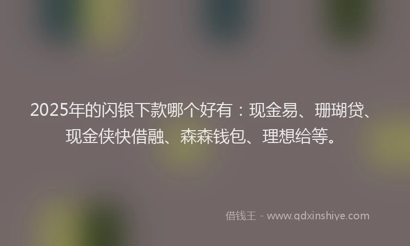2025年的闪银下款哪个好有：现金易、珊瑚贷、现金侠快借融、森森钱包、理想给等。