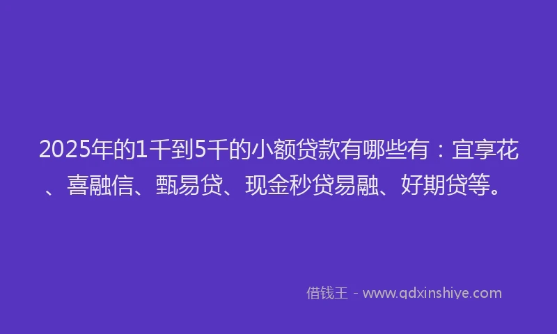 2025年的1千到5千的小额贷款有哪些有：宜享花、喜融信、甄易贷、现金秒贷易融、好期贷等。