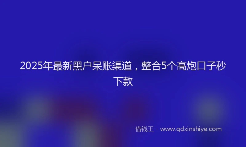 2025年最新黑户呆账渠道，整合5个高炮口子秒下款