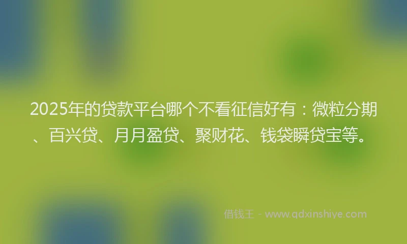 2025年的贷款平台哪个不看征信好有：微粒分期、百兴贷、月月盈贷、聚财花、钱袋瞬贷宝等。