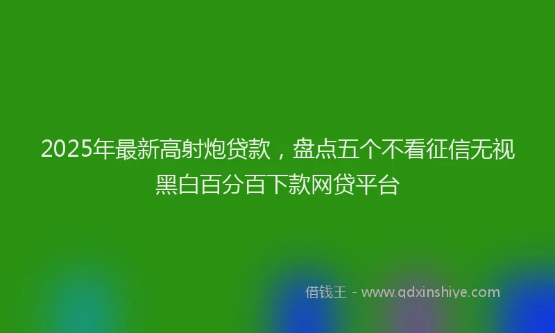 2025年最新高射炮贷款，盘点五个不看征信无视黑白百分百下款网贷平台