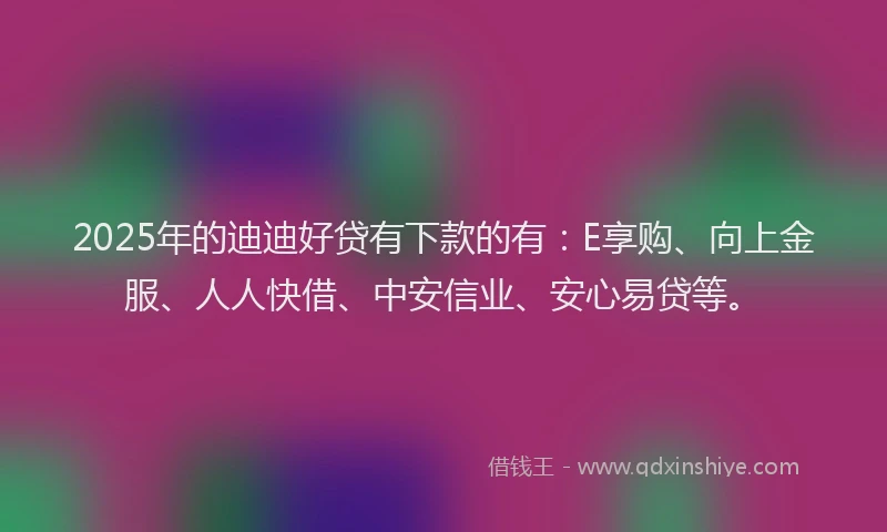 2025年的迪迪好贷有下款的有：E享购、向上金服、人人快借、中安信业、安心易贷等。
